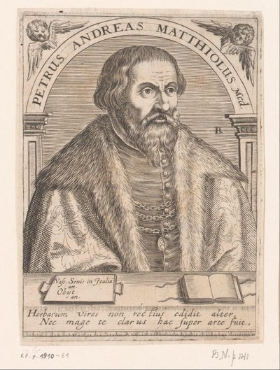 Portrait of Pietro Andrea Mattioli by Robert Boissard