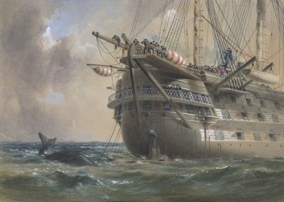 H.M.S. Agamemnon Laying the Atlantic Telegraph Cable in 1858: a Whale Crosses the Line, 1865-66 by Robert Charles Dudley