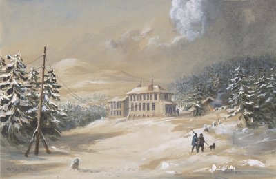 Trinity Bay, Newfoundland, Exterior View of the Telegraph House in 1857-1858 by Robert Charles Dudley