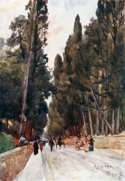 Looking Down the Cypress Avenue of Poggio Imperiale, on the Road to Arcetri by Robert Charles Goff