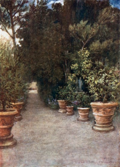 The Ilex Walk, Villa dell