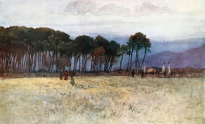 The Pine Woods and Carrara Mountains at Viareggio by Robert Charles Goff