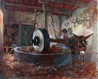 Tuscan Oil Press by Robert Charles Goff