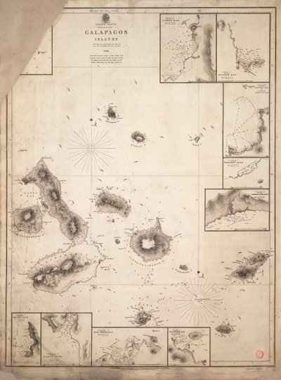 Chart of Galapagos Islands Surveyed During Voyage of HMS 