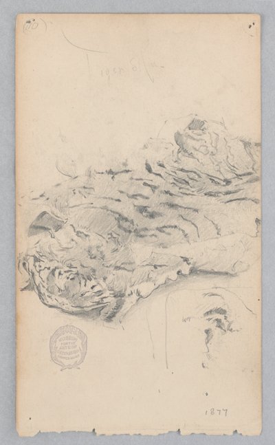 Tiger Skin Rug by Robert Frederick Blum