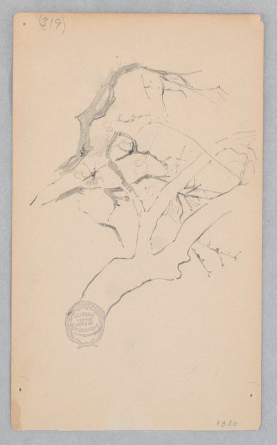 Tree Branch by Robert Frederick Blum