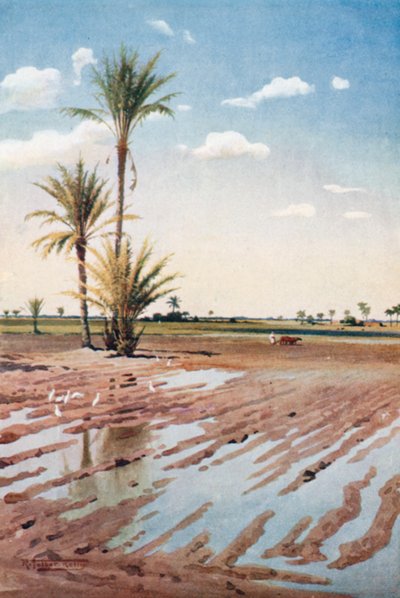 An Irrigated Field by Robert George Talbot Kelly