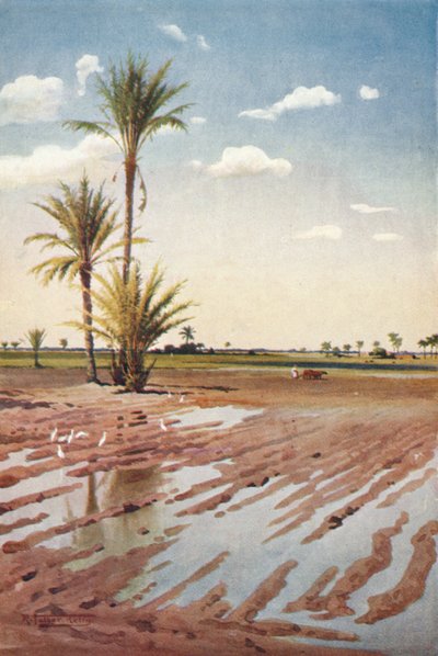 An Irrigated Field, c1880, 1904 by Robert George Talbot Kelly