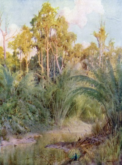 The Home of the Peacock by Robert George Talbot Kelly