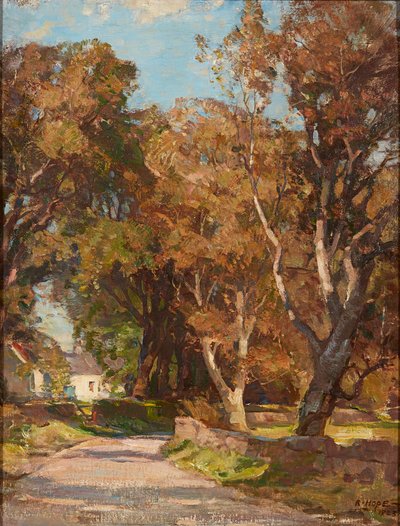 Roadside Near Colvend Manse, Dalbeattie by Robert Hope