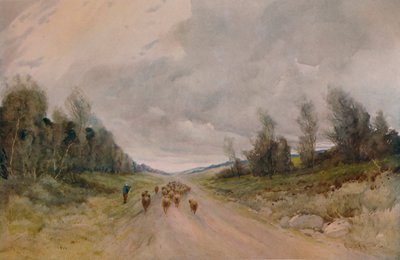 On a Northumberland Road by Robert J Hewitt