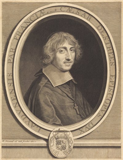 Cardinal d