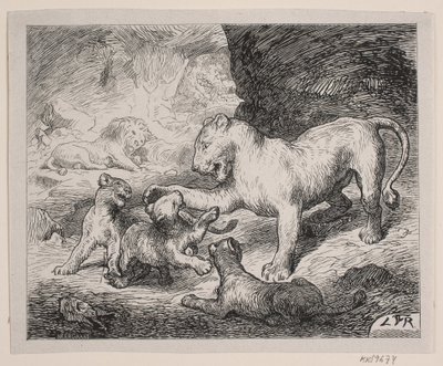 Lion Cubs. Illustration for Chr. Winther