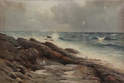 Rocky Coastline by Robert Russell MacNee