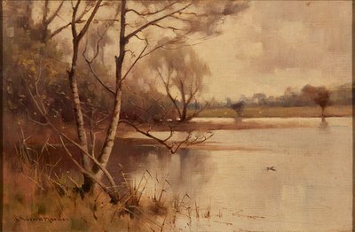 Silver Birch at the Lakeside by Robert Russell MacNee