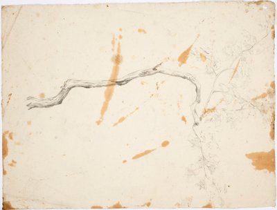 Subject from Italy: Twisted Tree by Robert Wilhelm Ekman