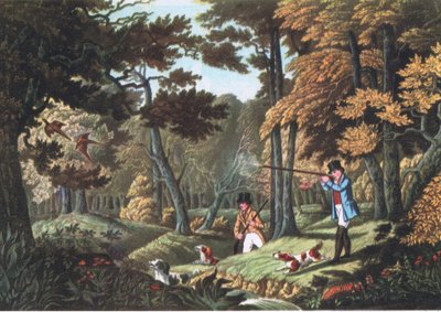 Pheasant Shooting Near Uxbridge, Nature in Britain Published by Collins, 1946 by Robert the Elder Havell