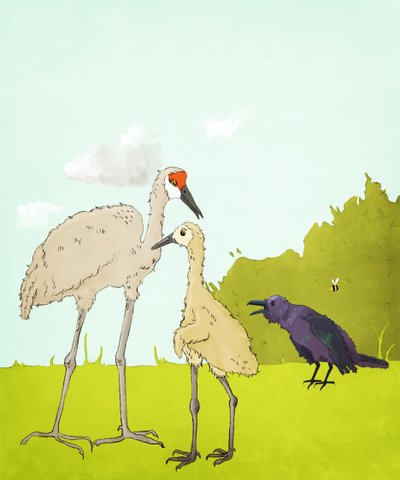 Gus Gus And The Corvid by Roberta Murray