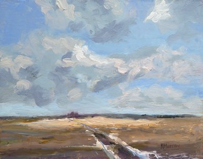 Last Of The Snow by Roberta Murray