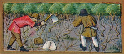March - Working in the Vineyard, 15th Century, 1939 by Robinet Testard