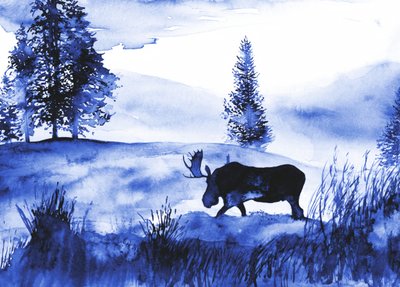 A Winter Moose Landscape by RodMacIver