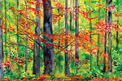 Autumn Forest Glow by RodMacIver