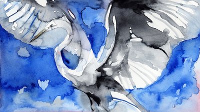 Blue Heron in Flight by RodMacIver