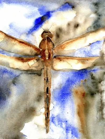 Blue Watercolor Dragonfly by RodMacIver