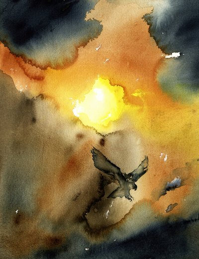 Eagle Soaring Sunset by RodMacIver