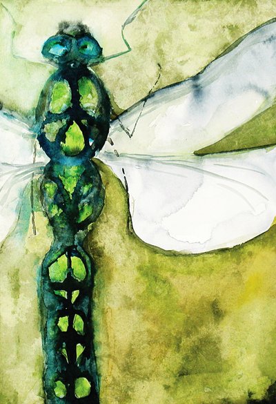 Emerald Dragonfly by RodMacIver