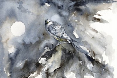Moonlit Falcon Watch by RodMacIver