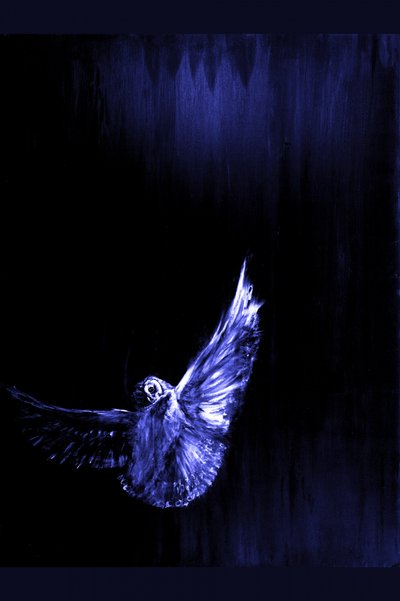 Mystic Blue Owl Flight by RodMacIver