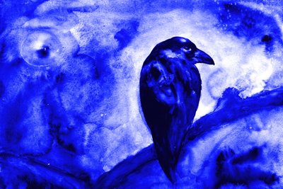 Raven Under Moonlight by RodMacIver