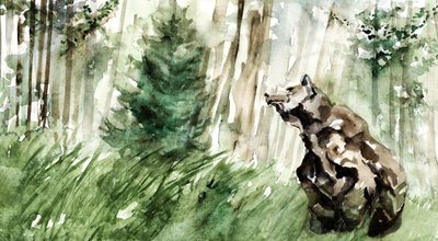 Wild Forest Bear by RodMacIver