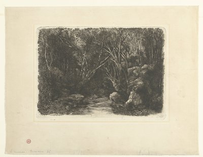 Forest Landscape with Stream and Overhanging Trees by Rodolphe Bresdin