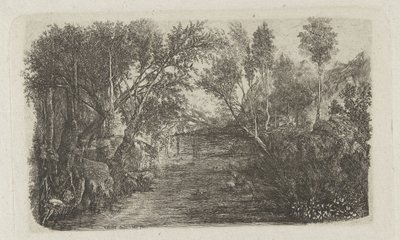 Landscape with stream and trees on banks by Rodolphe Bresdin