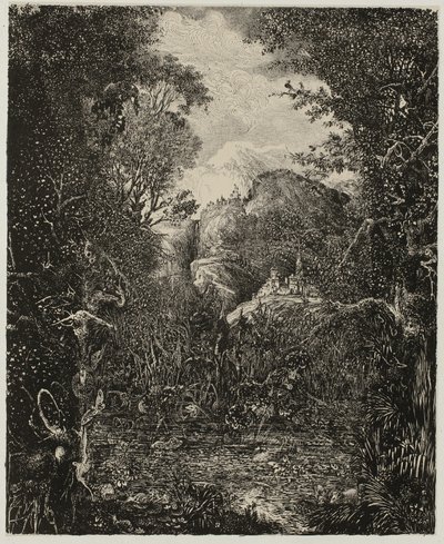 The Cities Beyond the Marsh by Rodolphe Bresdin
