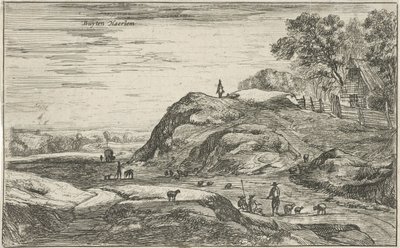 View Outside Haarlem by Roelant Roghman
