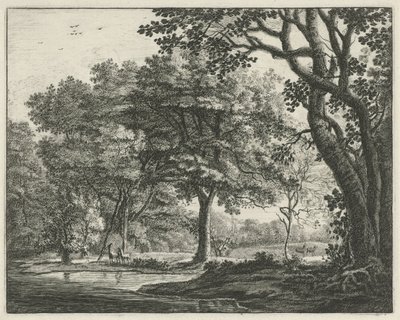Deer in the Hague Forest by Roelant Roghman