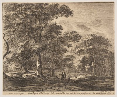 Plate 1, from Six Views in the Wood of The Hague by Roelant Roghman