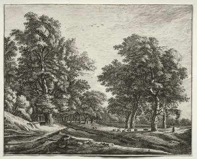Six views in the Wood of the Hague: Plate 4, Goats Under the Trees by Roelant Roghman
