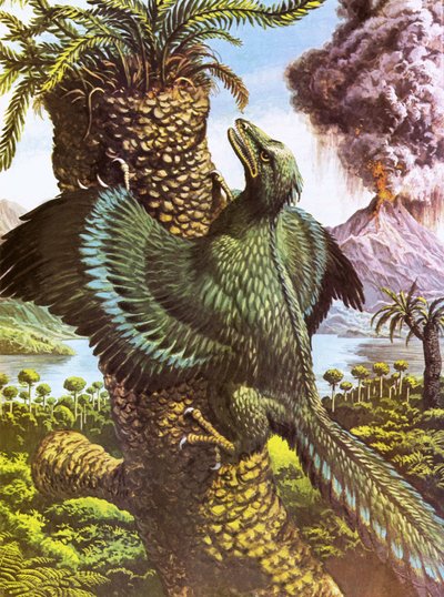 Archaeopteryx by Roger Payne