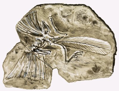 In the Days of the Dinosaurs: Secret in the Stone by Roger Payne