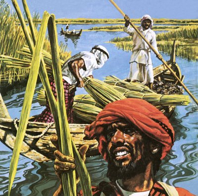 Men of the Marshes of Southern Iraq by Roger Payne