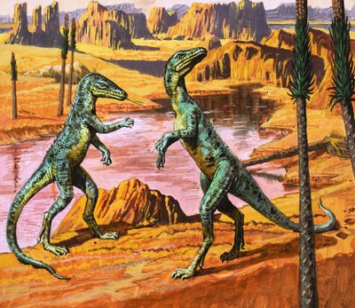Saltoposuchus, Illustration from 