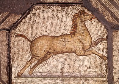 A Horse (detail) from Orpheus Charming the Animals by Roman