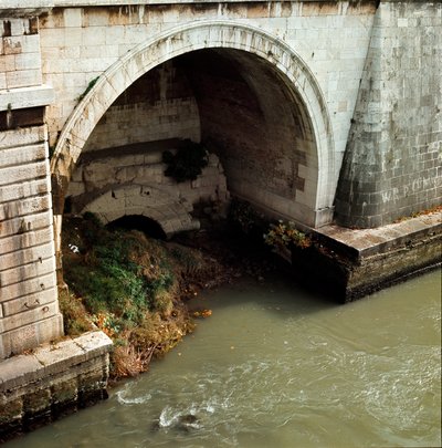 View from the Mouth of the Cloaca Maxima by Roman