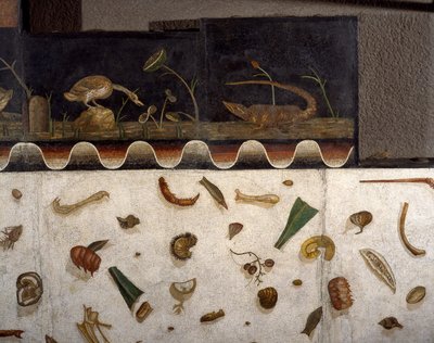 “Asarotos” (Floor unswept) Fragments of mosaic signed by Harakliton from Rome, 2nd century AD by Roman
