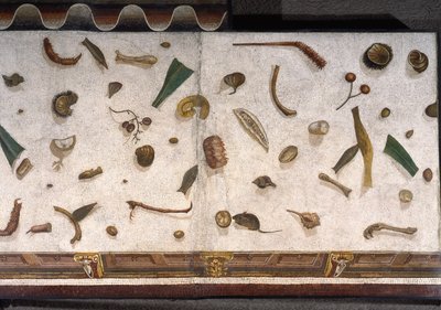 “Asarotos” (Floor unswept) Fragments of mosaic signed by Harakliton from Rome, 2nd century AD by Roman