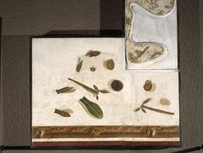 Asarotos (Floor Unswept) Fragments of Mosaic Signed by Harakliton from Rome, 2nd Century AD by Roman